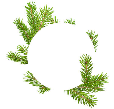 composition of fir branches in the shape of a circle with copy space in the center, isolated on a white background