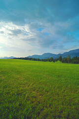 Tranquil Green Meadow near the Alps against the backdrop of unusually beautiful clouds in a Sunny Day