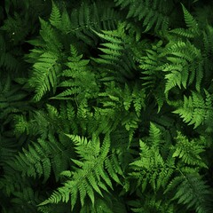 background of green fern branches