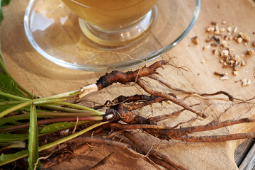 Closeup of fresh dandelion roots with a cup of herbal tea