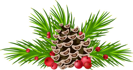 Fototapeta na wymiar Pine wreath, garland with winter decor. Cones and berries on green branches. Christmas, transparent, png.