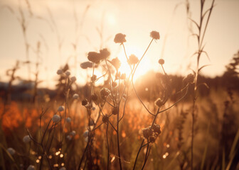 Obraz premium gras & natur