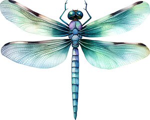 Dragonfly Watercolor Clipart - obrazy, fototapety, plakaty