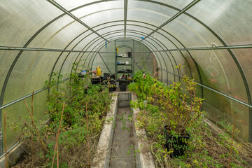 Greenhouse after autumn harvest in cloudy fall day