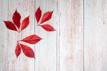 Autumn red leaves on wooden background