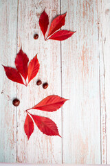 Autumn leaves and chestnuts on wooden background