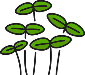 Green watercress salad microgreens color outline icon. Vector cress vegan healthy nutrition herb spice. Organic raw vegan healthy food
