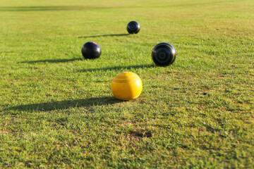 Crown green bowling, with bowls collected around the yellow Jack , as a competition takes place.