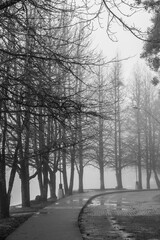 Foggy winter day at Sao Bernardo Lake. Tourist destination in Sao Francisco de Paula, South of Brazil