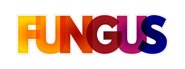 Fungus is any member of the group of eukaryotic organisms that includes microorganisms such as yeasts and molds, colorful text concept background