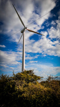 aerogenerador electrico de energia renovable de mexico, en el istmo