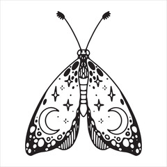 Beautiful butterfly. Decorative stylized insect drawn by hand in black. wings Beetle. Vector illustration on a white background.