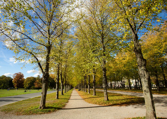 Hannover, Germany - October 16, 2022. Herrenhausen beautiful tree lined avenue during the fall season