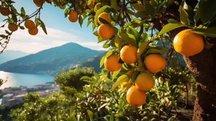 Foto op Plexiglas small orange clementine mandarin tangerine in fruit tree orchard © Olga