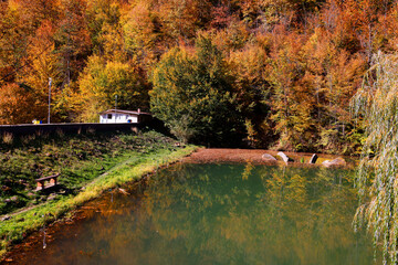Beautiful autumn landscape by the Vida lake in Apuseni Mountains, Romania. Trees in colorful foliage and forested in the Occidental Carpathians reflecting in the water surface.