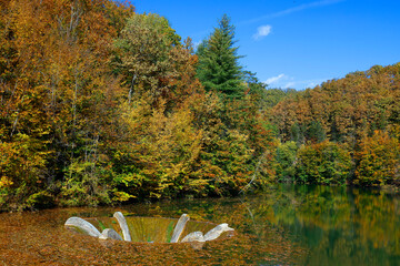 Vida Dam Lake in in autumn colours, Transylvanian Alps, Romania, Europe