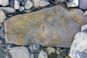 background texture large gray stone turned with water close-up