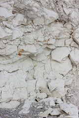 scree from the mountain on the shore stones from opoka, close-up texture