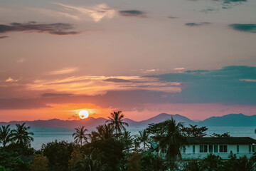 Scenic rose golden glowing Sunset. The whole Sun just above mountains. Close up view on palms, sea...