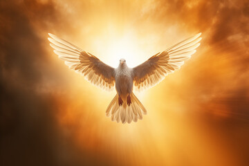 dove in flight - holy lighting