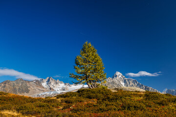 Glacier du Tour with Aiguille du Tour and Aiguille du Chardonnet in autumn near Chamonix, France