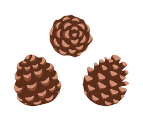 Set of pine cone. Hand-drawn colored flat vector illustration isolated on white background.