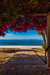  seaside landscape view of Alicante beaches framed by flowers