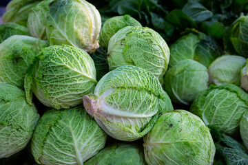 Fototapeta premium Fresh cabbage heads as background. Closeup view of organic leafy vegetables