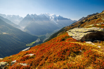 autumn colors in Chamonix with Aiguille du Midi and Mont Blanc in France