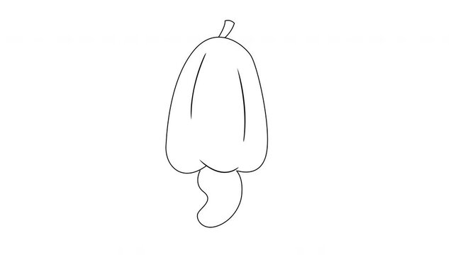 Animation forms a sketch of a cashew fruit icon