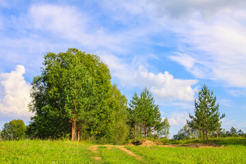 Fototapeta na wymiar Countryside landscape with green fields and blue sky in Latvia.