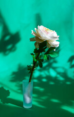 Artificial rose on green background in sunlight.