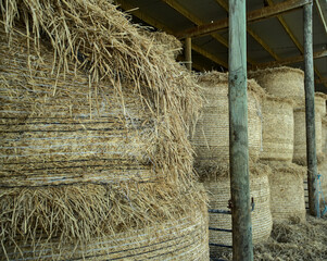 bales of straw ready for winter