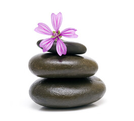 Fototapeta na wymiar Zen balance with stones and flowers isolated on a white background.