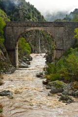 Fototapeta na wymiar le pont des étroits dans les Gorges du Doux (Ardèche)