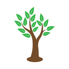 Fototapeta premium tree icon logo vector design template