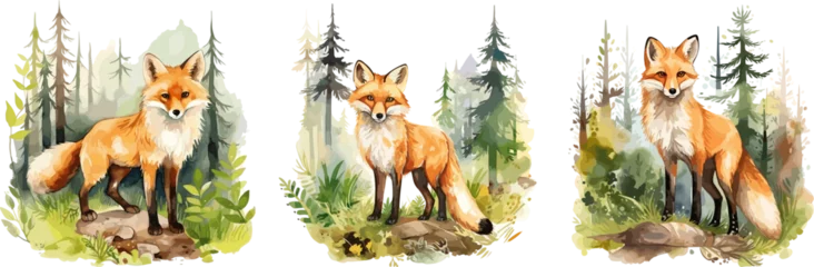 Fototapeten Watercolor drawing fox in forest. Red foxes in habitat on nature. Wild animals graphic art design, vector decorative animalistic illustration © LadadikArt
