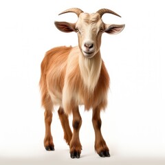 "Horns and Hooves: A Captivating Glimpse into the World of Goats" Generativ ai.