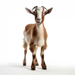 "Goat Companions: Learning About These Playful Ruminants"Generativ ai.