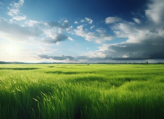 green field and blue sky
