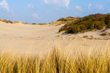 Sunny Day on Sandy Dunes in The Hague, Netherlands: Amazing Sand Dunes of Europe.