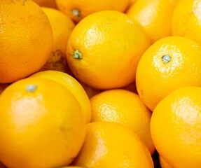 Citrus fruits at the market display stall