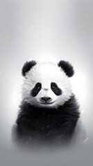 Cute Panda Portrait Wallpaper