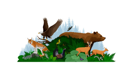 Vector woodland forest illustration with animals