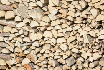 Stacked firewood in a woodpile