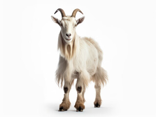 Alpine Goat Studio Shot Isolated on Clear White Background, Generative AI