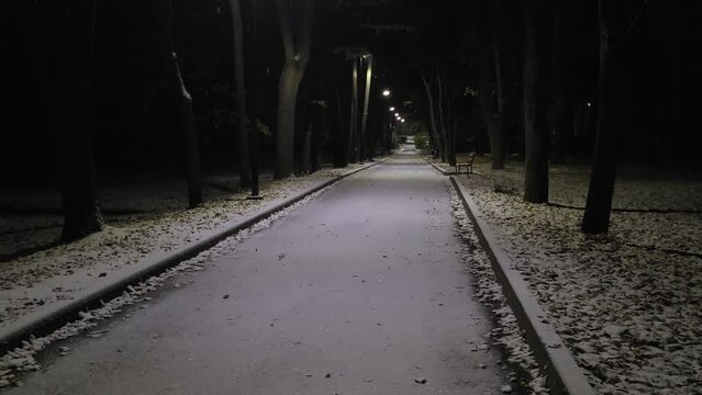 park alley at night