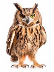 Naklejka premium Owl Studio Shot Isolated on Clear White Background, Generative AI