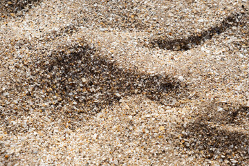 Close-up of sand on the beach