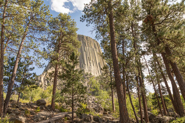 A Glimpse of Devils Tower National Monument Through the Forest of Trees, Wyoming, USA